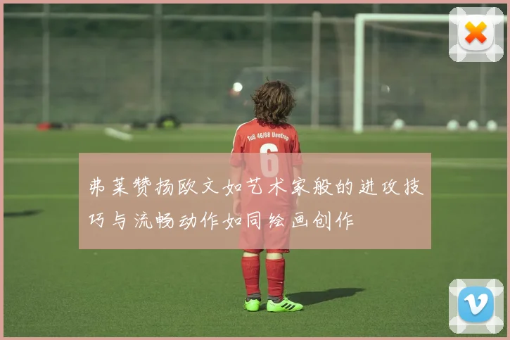 弗莱赞扬欧文如艺术家般的进攻技巧与流畅动作如同绘画创作